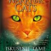 Warrior Cats 6 : Iskušenje tame