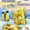 Životinje polarnih predjela