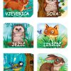 Male šumske životinje - komplet slikovnica