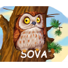Sova - Serija knjiga za djecu - MALE ŠUMSKE ŽIVOTINJE