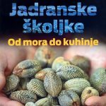 jadranske_skoljke__od_mora_do_kuhinje