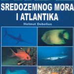 Ribe sredozemnog mora i atlantika