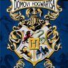 Harry Potter : Domovi Hogwartsa - Čarobnjački dnevnik