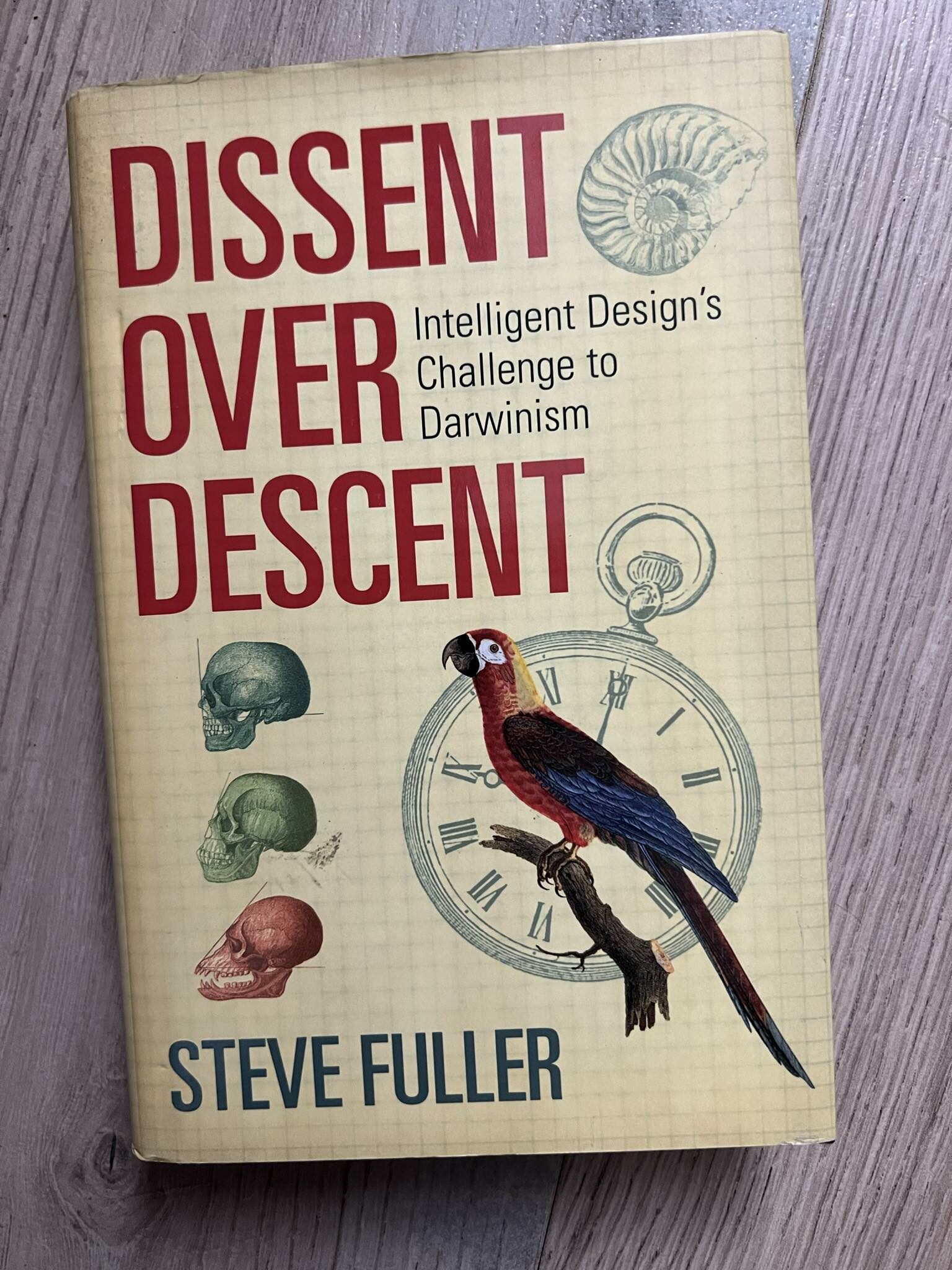 Dissent over Descent
