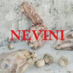 Nevini