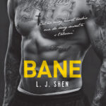 BANE-500pix